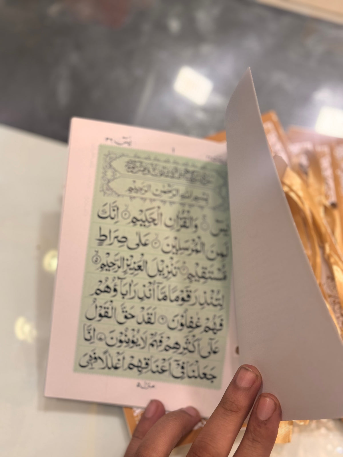 Surah yaseen #4